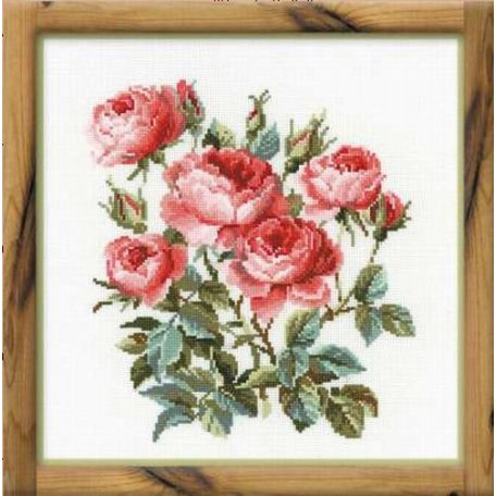 Riolis 1046- Rózsák  keresztszemes készlet - 40 x 40 cm