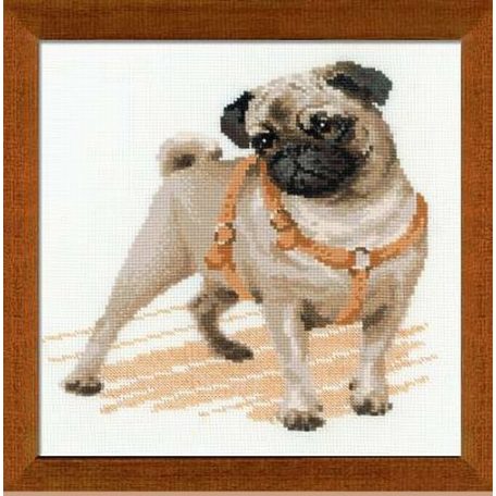 Riolis 1176- Dog kutya - keresztszemes készlet - 25 x 25 cm