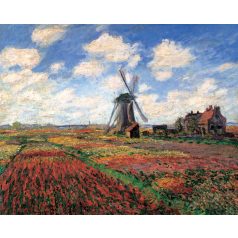 Riolis keresztszemes készlet - Tulipánmező - 1643