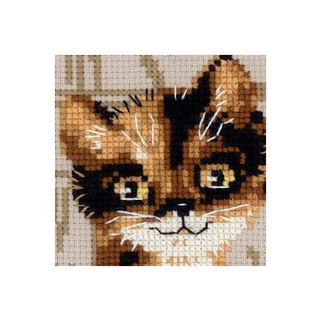 Riolis keresztszemes készlet - Rocky a cica - 1649