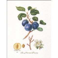 Thea Gouverneur - 2059A - Szilva