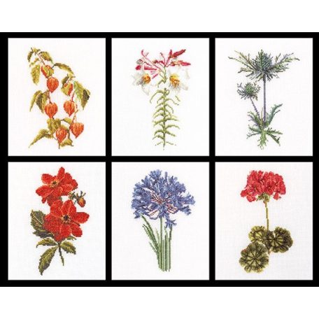 Thea Gouverneur 3082 - Virágok a kertből válogatás II. - 6 darab keresztszemes
