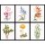 Thea Gouverneur  3086 - Virágok a kertből válogatás VI. 6 darab keresztszemes - 6x17x20cm