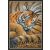 Dimensions keresztszemes készlet - Tigriskölyök - 70-65105