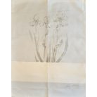 Graziano hímezhető konyharuha - Irisz CU4578