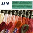 DMC 3816 - mouliné - pamut osztott hímzőfonal