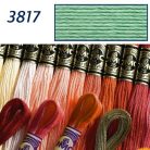 DMC 3817 - mouliné - pamut osztott hímzőfonal