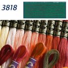 DMC 3818 - mouliné - pamut osztott hímzőfonal