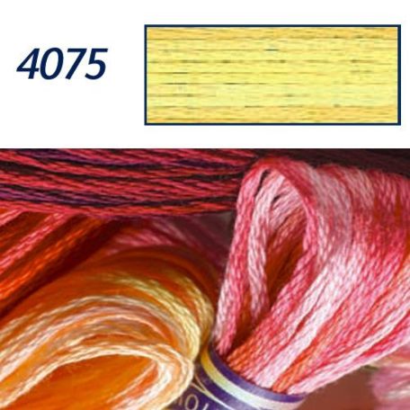 DMC 4075 - mouliné - Color Variations pamut osztott hímzőfonal