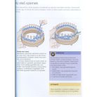 Kössünk kötőkereten - körmöcskézés kezdőknek