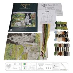   Anchor Gobelin készlet-Border Collie és a bárány – MR7004