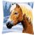 Vervaco keresztszemes párna készlet - Ló hóesésben - PN-0157077